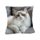 thumbnail image 2 of CaiYueKe Cats Linen Pillow Cover Decorative Cushion Case Bohemian Style Sofa Bed Throw Pillowcase Home Decor Accent Pillow Shams for Living Room Bedroom, 2 of 7