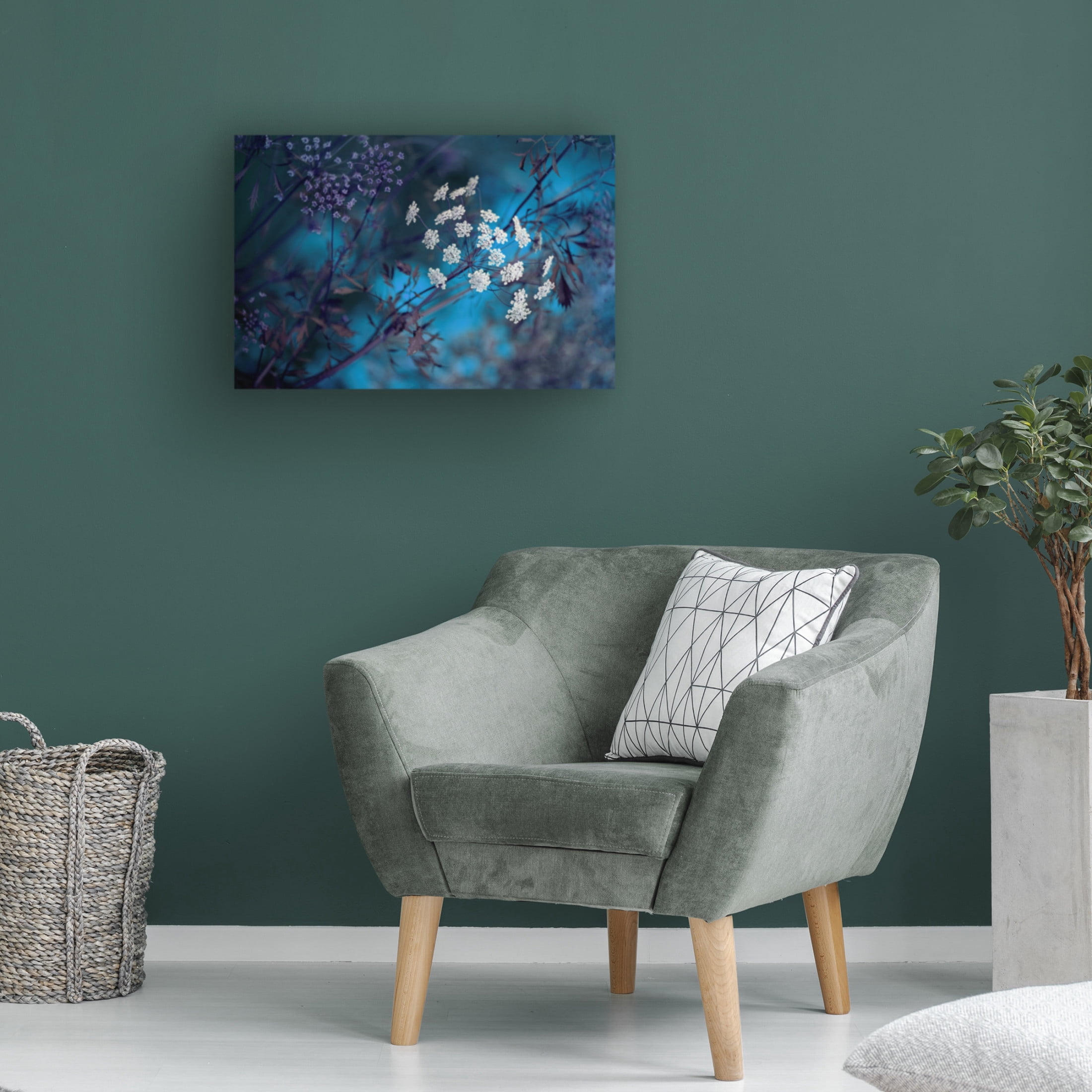 Canvas Wall Art - Jacky Parker 'Queen Annes Lace' Wall Art for Living Room, Bedroom, or Office D?cor by Trademark Fine Art - 47 x 30 Inches