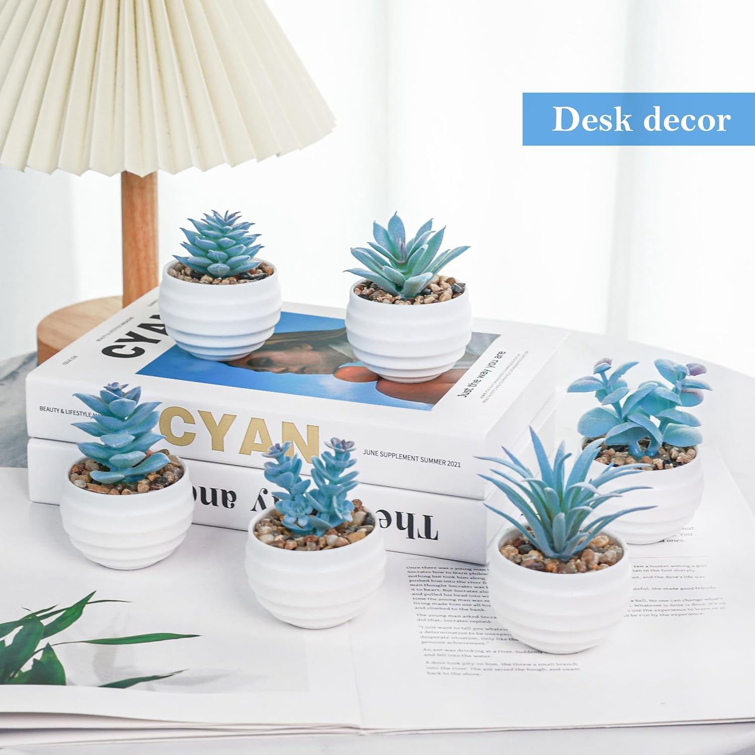 Unbranded 6 Pack Blue Succulents Plants Artificial in Pots Small Fake Plants for Blue Bathroom Bedroom Home Decor Aesthetic Home Decor