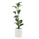 thumbnail image 1 of 2x 1:12 de en macetas en maceta adorno de decoración de plantas de árbol de arcilla perfke Plantas de miniaturas de casa de muñecas, 1 of 6
