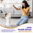 thumbnail image 6 of Jack & Milo Hip & Joint Care Supplement Tablets for Dog, Hip and Joint Wellness Flavor, 120 Count Bottle, 6 of 9