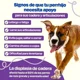 thumbnail image 2 of Dogelthy Suplemento Articulaciones De Perros Mobility 270g, 2 of 5