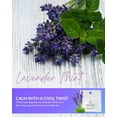 thumbnail image 7 of Essence Aromatherapy Nasal Diffuser Ring – Lavender Mint Essential Oil Blend – Personal Diffuser, 7 of 7
