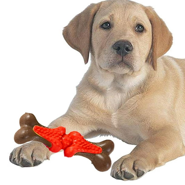Juguete para la dentición de cachorros Fernando juguetes para perros masticar para perros medianos y grandes
