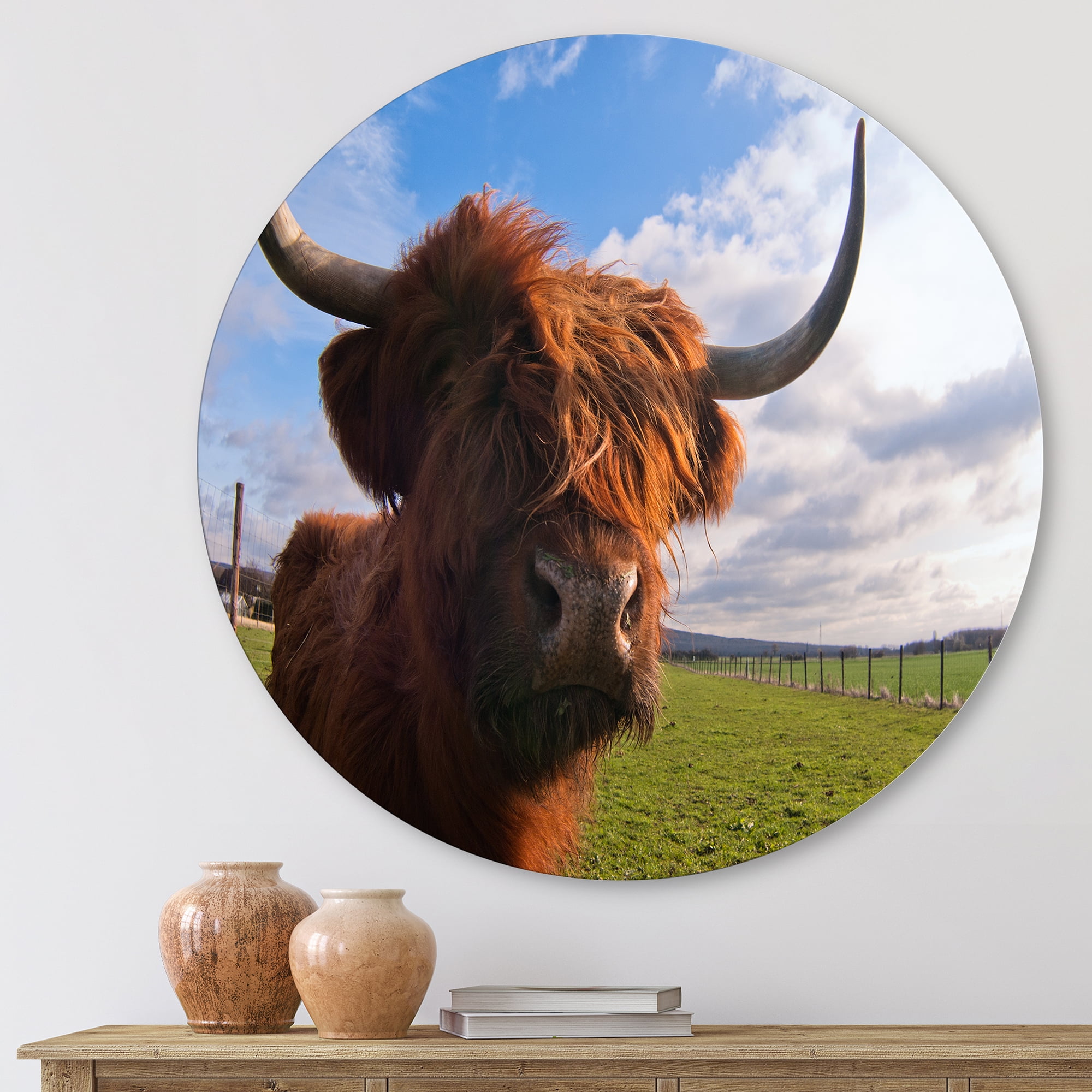 Designart 'Close Up Portrait Of A Yak' Farmhouse Circle Metal Wall Art 11x11 - Disc of 11