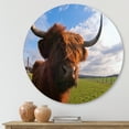 thumbnail image 2 of Designart 'Close Up Portrait Of A Yak' Farmhouse Circle Metal Wall Art 11x11 - Disc of 11, 2 of 5