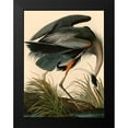 thumbnail image 2 of John James, Audubon 15x18 Black Modern Framed Museum Art Print Titled - Great Blue Heron, 2 of 5