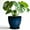 Reactive Glaze Blue, variant on EPFamily 6 inch Blue Small Plant Pot with Drainage Holes and Saucer, Round Ceramic Flower Pot for Succulents & Cactus, Home Office Desk Decor