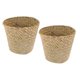thumbnail image 5 of BRIGHTFUFU 2Ud Cesta De Almacenaje Tejida En Paja Verde Multiusos Para Guardar Artículos Variados, 5 of 8