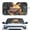 Cartoon Frog, variant on Tupalatus Funny Frogs Easy Storage Car Sun Shade Windshield Sun Shield Foldable UV Block Windshield Sun Shade for Large Vehicles All Models
