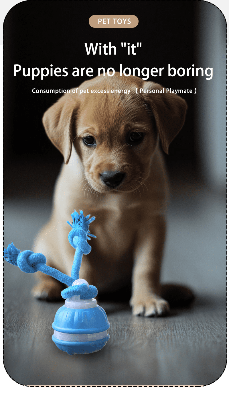 Interactive Dog Toys Ball, Fun Moving Motion Activated Dog Ball Toys to Keep Them Busy, Rechargeable Smart Automatic Rolling Dog Ball for Small Puppy Dogs