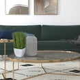 thumbnail image 7 of Pemberly Row 11.5" Contemporary Plastic Artificial Potted Grass in Green, 7 of 7