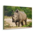 thumbnail image 2 of Majestic White Rhino Art Majestic White Rhino Print Animal Wall Art Wildlife Canvas Prints Wall Art Ready to Hang Unframed, 2 of 18