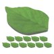 thumbnail image 1 of 12 paquetes de notas adhesivas de hojas verdes, bloc de notas de papel, bonitos suministros para tomar notas, decoración para el hogar, la oficina y la escuela, 1 of 8