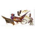 thumbnail image 2 of Design Art - illustration Aquarelle Oiseau Faisan, 2 of 3