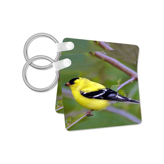 3dRose, American Gold Finch, set of 2 Key Chains