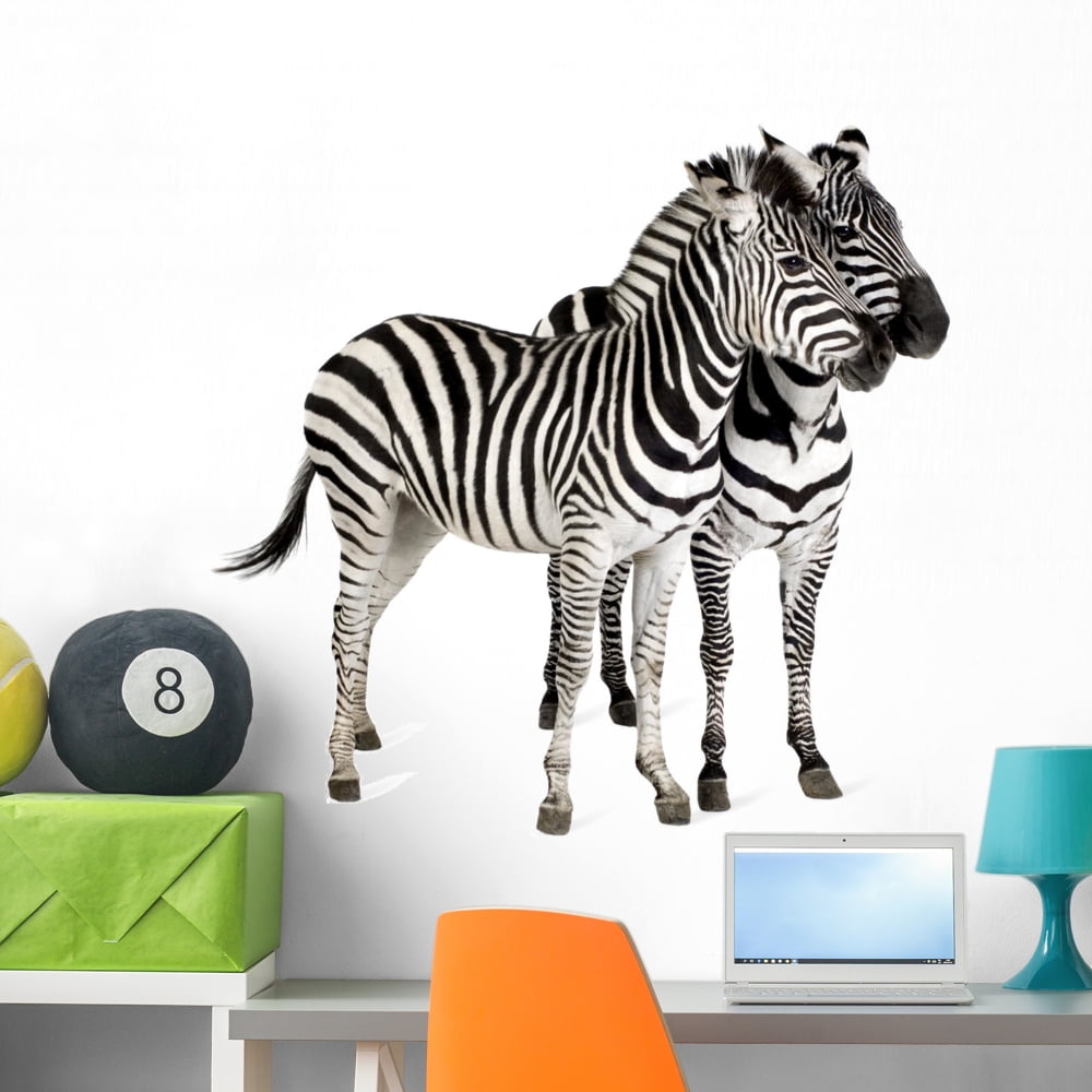 Zebra Wall Decal Sticker by Wallmonkeys Vinyl Peel and Stick Graphic