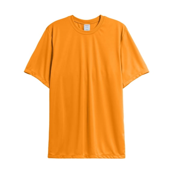 Hanes 4820 Adult Cool DRI with FreshIQ T-Shirt (2 PACK)
