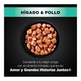 thumbnail image 3 of Alimento para Perro Ganador Premium Cachorro Hígado Pollo 100 g, 3 of 4