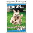 thumbnail image 3 of Avanti - Dog Joy Wall Poster with Magnetic Frame, 22.375" x 34", 3 of 5