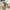 Beige, variant on Jsaierl Women's Wedge Boots Winter Snow Boots with Fur Liner Wide Calf Cowgirl Slip On Western Boots Knee High Shoes