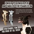 thumbnail image 3 of Scoochie Pet Stretchables Squeaky Dog Chew Toy, 20-in, 3 of 5