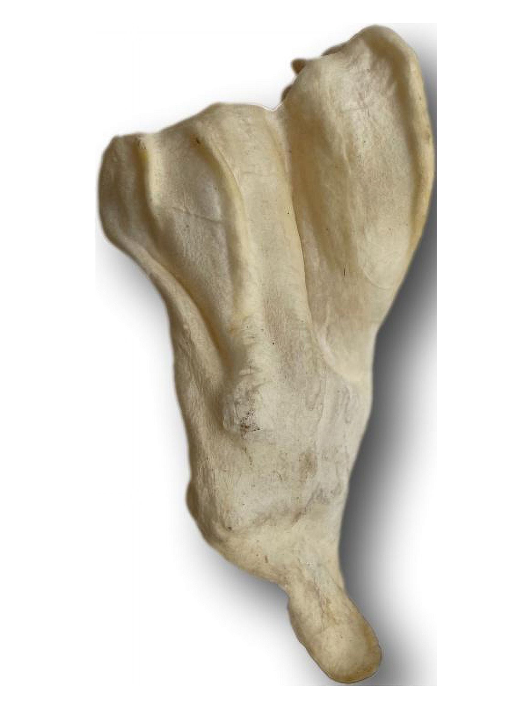 Lamb Ear Dog Treats - All Natural 50 Pack