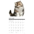 thumbnail image 3 of Just Persians 2025 12 X 12 Wall Calendar, (Paperback), 3 of 5