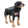 thumbnail image 1 of Chaleco Salvavidas para Perro Chaleco Salvavidas para Perro Ripstop para Nadar y Navegar Chaleco Flotante para Perro con de Elevación para Perros Pequeños Medianos y ANGGREK  Otros, 1 of 8
