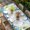 Blue Green, variant on Blue Hydrangea Table Cloths for 4 Foot Rectangle Tables, Rustic Wooden Butterfly Spring Floral Patio Waterproof Elastic Fitted Tablecloths, Washable Rectangular Table Cover for Camping
