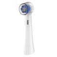 thumbnail image 5 of SHAR Electric Toothbrush Head Covers - Set of 6, Compatible with Oral B Round Heads, 5 of 5