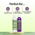 thumbnail image 2 of Set de champú y acondicionador Maple Holistics Tea Tree, 2 of 8