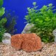 thumbnail image 4 of unbranded De Coral De Resina Para Acuario Con Y Resistente Al, 4 of 8