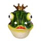 thumbnail image 4 of Máscara de rana, cubierta facial, juego de rol de cosplay, accesorios de disfraces para adultos, máscara de cara completa, máscara de animal para Yinane Cubierta de cara de rana, 4 of 8