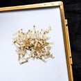 thumbnail image 3 of HEALEEP 1Pack Photo Frame Hanging Tools for Outdoor Adventure High-end Users, 3 of 6