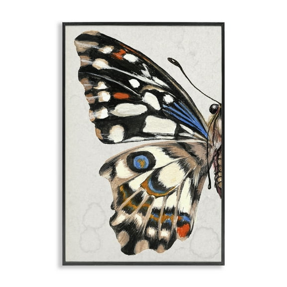 Stupell Industries Spotted Butterfly Wing Animals & Insects Painting Black Framed Art Print Wall Art, 12 x 18