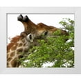 thumbnail image 3 of Dana Underdahl 18x15 White Modern Wood Framed Wall Art Titled - Giraffe I, 3 of 5