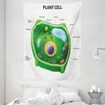 thumbnail image 1 of Educational Tapestry, Plant Cell Biology Research Botany Anatomy Structure Organic Life Nature, Wall Hanging for Bedroom Living Room Dorm Decor, 60W X 80L Inches, Green Pale Blue, by Ambesonne, 1 of 2