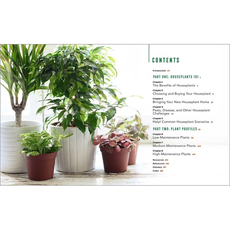 ceramic indoor plant pots LE TAUCI 12 Inch Pot for Plants, Ceramic Large Planter for Indoor Plan –  LETAUCI main image 0