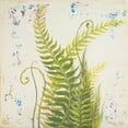 thumbnail image 2 of Pinto, Patricia 15x15 Black Ornate Wood Framed with Double Matting Museum Art Print Titled - Nice Ferns I, 2 of 4