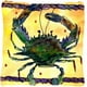 Carolines Treasures 8058PW1414 Oreiller Décoratif en Tissu de Crabe de 14 x 14 Po – image 1 sur 4