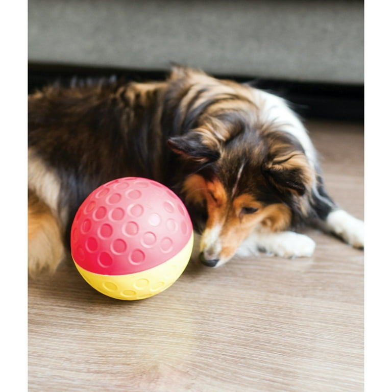Nina Ottosson Dog Treat Tumble Ball Boredom Buster