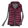 thumbnail image 2 of Aboser Womens Zip Up Puffer Vest Sleeveless Stand Collar Padded Vests Winter Thermal Quilted Jacket Coat with Pockets Plus Size Shiny Down Coats, 2 of 9