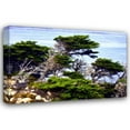 thumbnail image 1 of Alan Hausenflock 18x13 Gallery Wrapped Canvas Wall Art Titled - North Point I, 1 of 4