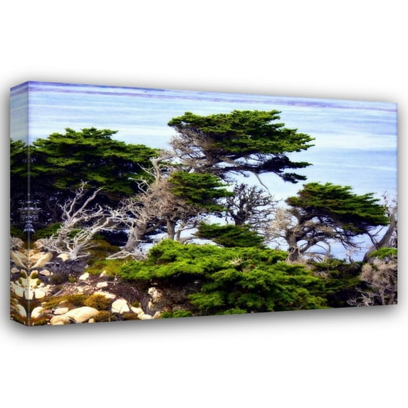 Alan Hausenflock 18x13 Gallery Wrapped Canvas Wall Art Titled - North Point I