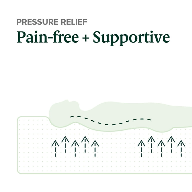 Zinus Spa Sensations Theratouch 12