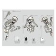 thumbnail image 5 of Adhesivos para ventanas de Halloween, decoraciones de Halloween, pegatinas para ventanas, esqueletos, fantasmas, murciélagos, pegatinas divertidas de montaje de esqueleto, adhesivos de vidrio para pared lisa, ventana, piso, fiesta de Halloween Sailing  Electrónica, 5 of 5