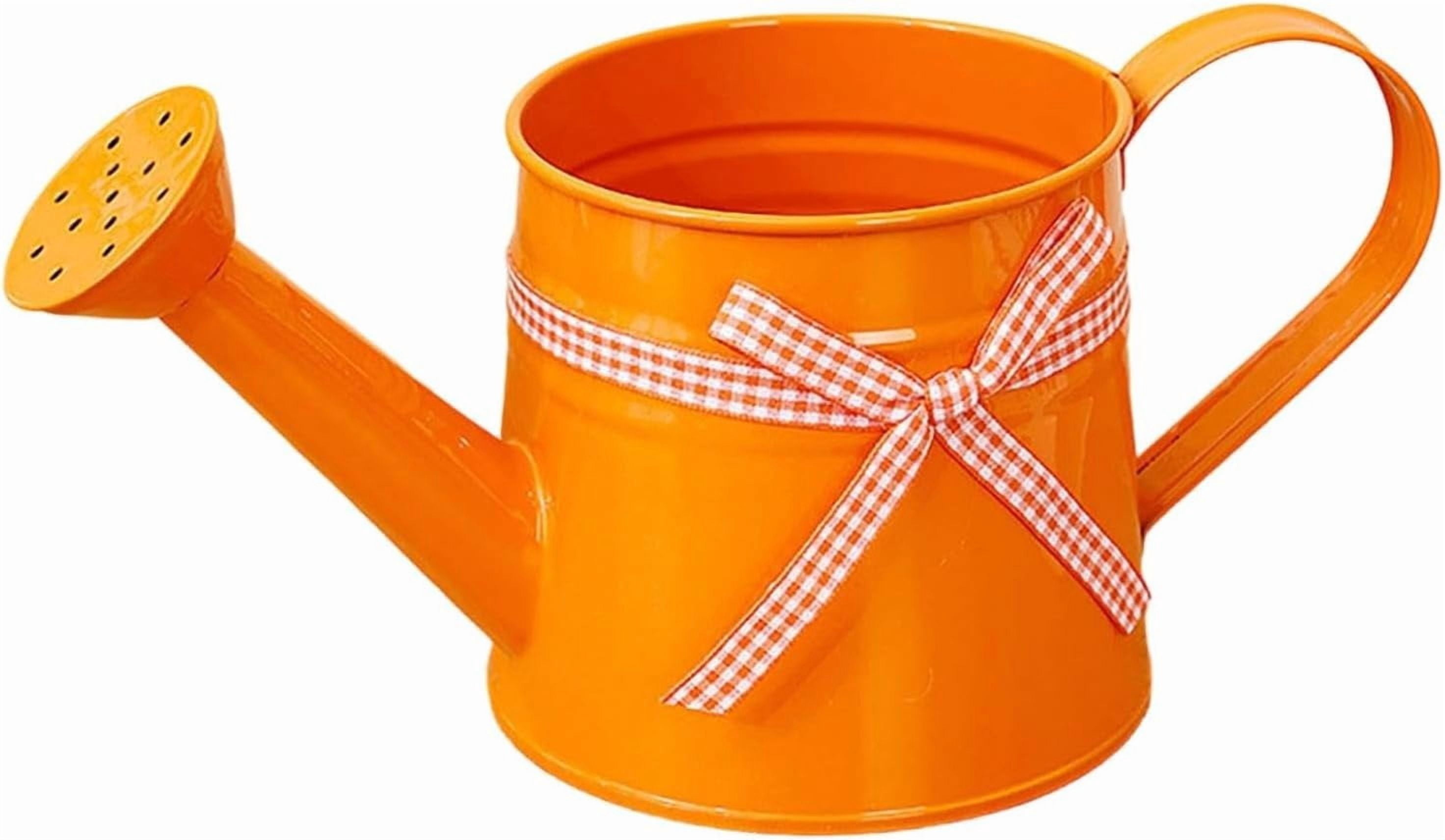 Vintage Tinplate Watering Can - 1L Galvanized Metal Kettle with Long Spout for Precise Indoor & Outdoor Plant Watering, Slow Pour Shower Sprinkler for Flowers (Orange)