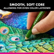 Prismacolor Artist Grade Colored Pencil (24 Pieces)