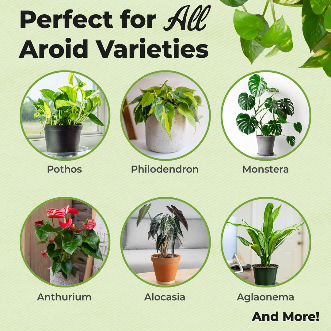 Organic Aroid Potting Mix in 8qt. Bag - Chunky Soil For Indoor House Plants
